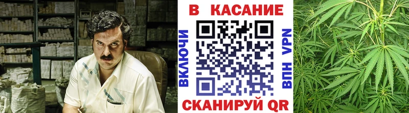 Как найти наркотики Мурино Бутират  А ПВП  Гашиш  Марихуана  Галлюциногенные грибы  Меф мяу мяу  Кокаин 
