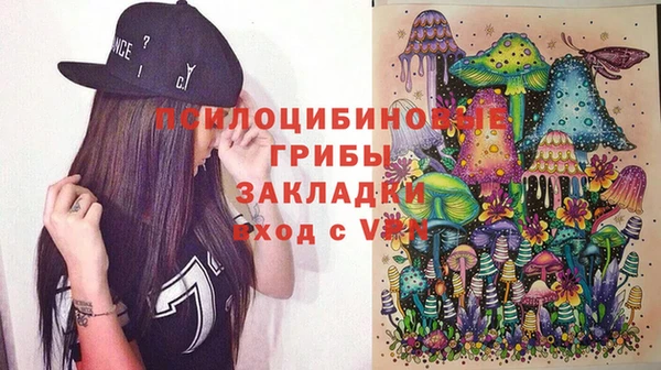 прущая мука Няндома