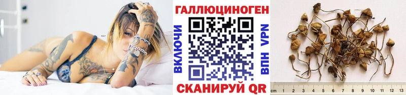 mega ссылка  где купить наркотик  Мурино  Галлюциногенные грибы Psilocybine cubensis 